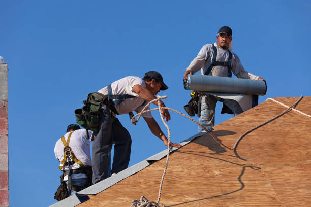 Best Sealant for Roof  in Wauconda, IL